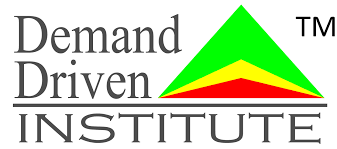 Logo Demand Driven Institute