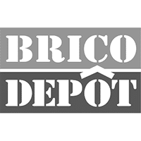 Logo Brico Depot