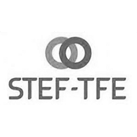 logo STEF-TFE